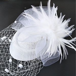 Wte Fascinator Kentucky Derby Birdcage Veil New